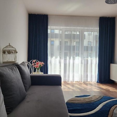 Apartament C&L Braszów Zewnętrze zdjęcie