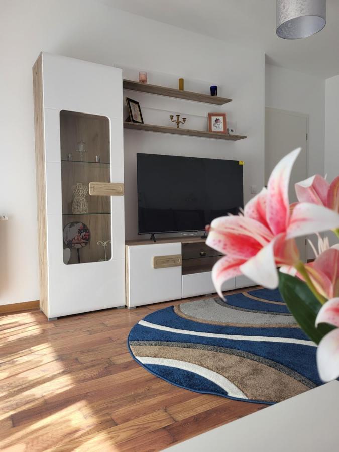 Apartament C&L Braszów Zewnętrze zdjęcie